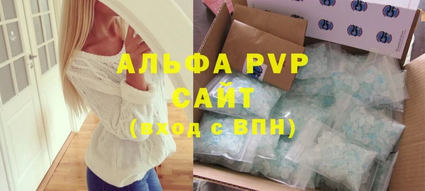 крисы Алексин