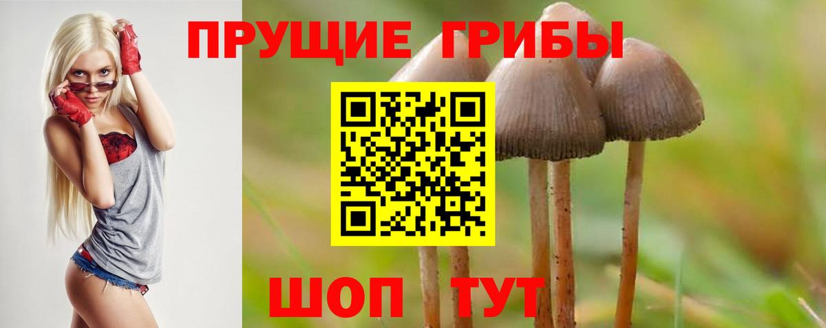 Галлюциногенные грибы MAGIC MUSHROOMS Санкт-Петербург