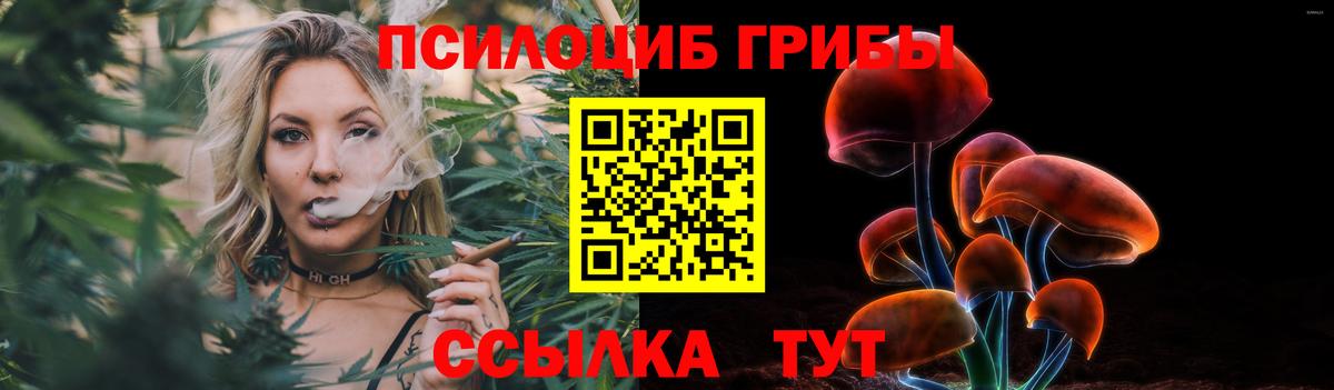 Галлюциногенные грибы Psilocybine cubensis  магазин продажи наркотиков  Санкт-Петербург  Вход с VPN  Галлюциногенные грибы Psilocybine cubensis 